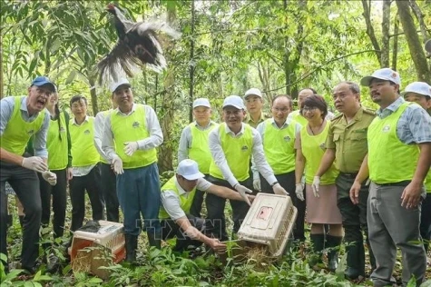 越南被列入世界上生物多样性最高的16个国家行列