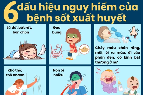 Ca mắc sốt xuất huyết nặng tăng 300%, người dân cần tích cực diệt lăng quăng