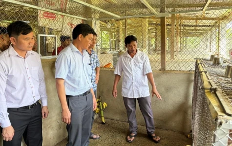 Trợ lực xây dựng mô hình kinh tế hiệu quả