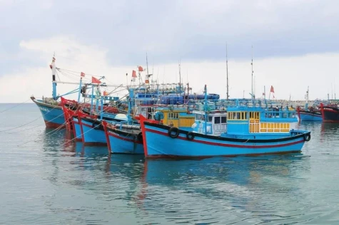 Ben Tre cracks down on illegal fishing to lift EC’s yellow card warning