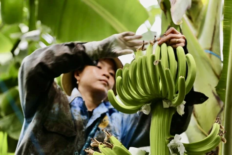 Nông thôn đổi thay mạnh mẽ