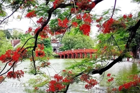 九·二国庆假期：国内旅游的黄金机遇