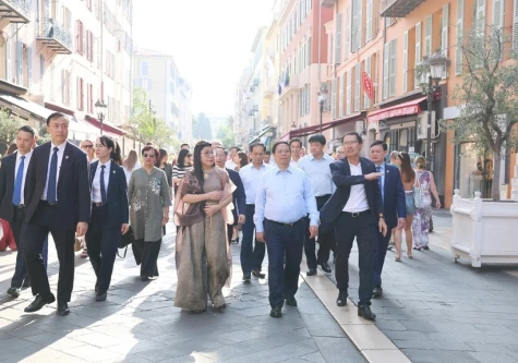 Culture is a string full of sounds and colours for Vietnam-France friendship: PM