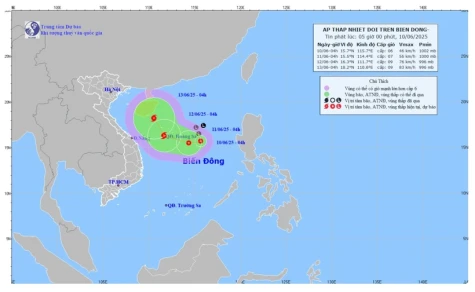 Vùng áp thấp đã mạnh lên thành áp thấp nhiệt đới
