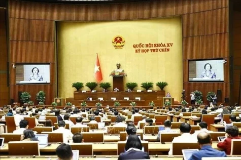 越南第十五届国会第九次会议：通过关于重新调整省级行政单位的决议