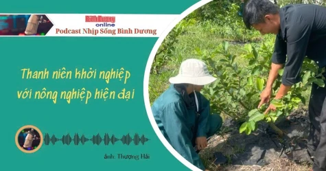 NHỊP SỐNG BÌNH DƯƠNG: Thanh niên khởi nghiệp với nông nghiệp hiện đại