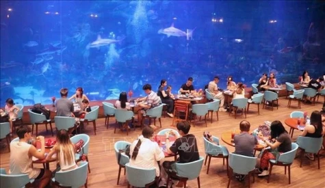 Phu Quoc improves tourism to well serve APEC Economic Leaders’ Week in 2027