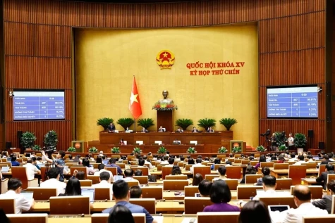第十五届国会第九次会议：通过国会关于降低增值税税率的决议