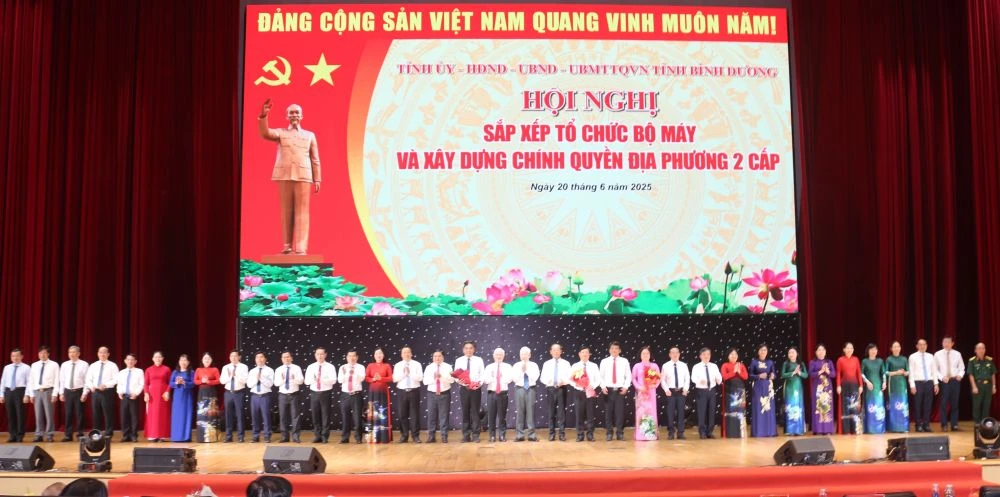 Organizing administrative apparatus and building two-tier local government
