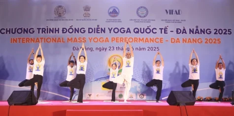 Da Nang mass yoga event promotes unity, well-being