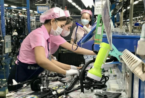 In-depth industrial development
